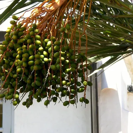 El Zoco De Finca Malvarrosa Teguise (Lanzarote)